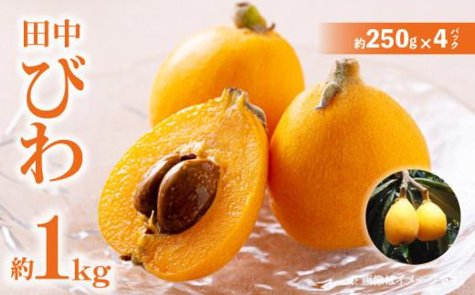 y쌧szcт 1kg (250g×4pbN)y2026-6{`2026-7{zz