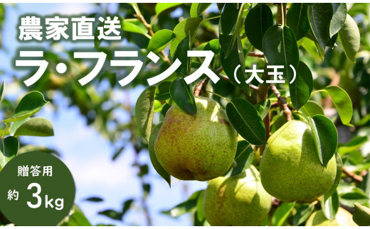 y쌧쒬zKL05-25A m EtXyʁz 3kgi5`8ʁj ^10{  // 쌧 MB 쒬 Mtg m miV mȂ tX _ƒ _Ǝx   ʕ