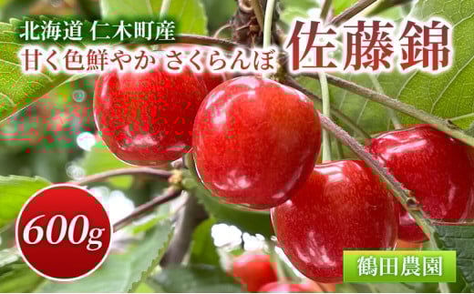 ykCmؒz[st] ʌ kC mؒY ÂFN₩   600g L`2LTCY _ L@엿 i lC Â TN{ `F[ t[c ʕ ʕ m