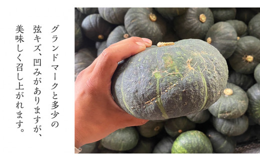 【 訳あり 】 地下水100％で作る美味しい 「 カボチャ 」 約8kg くり大将 かぼちゃ 南瓜 野菜 地下水 ミネラル [DU013ci]