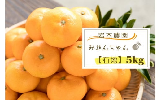 MA-8 岩本農園のみかんちゃん 【石地】５ｋｇ - 佐賀県太良町｜ふるさとチョイス - ふるさと納税サイト