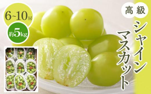 高級 シャインマスカット 約5kg【2026-7月下旬～2026-8月下旬配送