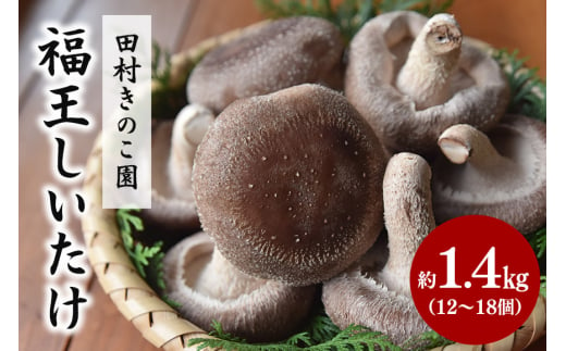 2024年10月発送】福王しいたけ 約1.4kg - 茨城県笠間市｜ふるさとチョイス - ふるさと納税サイト