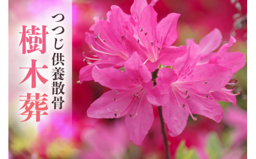 ふるさと納税 自然供養のカンシャ 樹木葬　シャクナゲ供養散骨　ご利用クーポン券 3000円分 JC-002 茨城県笠間市 ふるさと納税自然供養のカンシャ 樹木葬 シャクナゲ供養散骨 ご利用