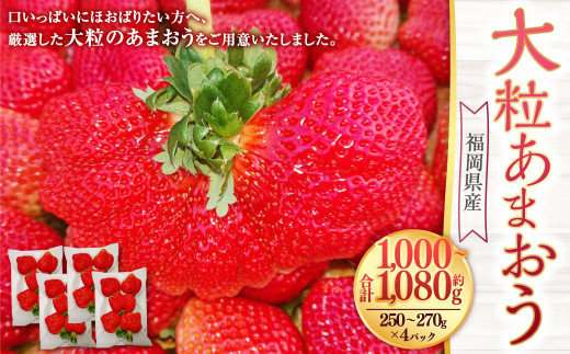 いちご 専用 イチゴパック STR-R3個セットパック 20枚(CP007636): 包装・販促資材