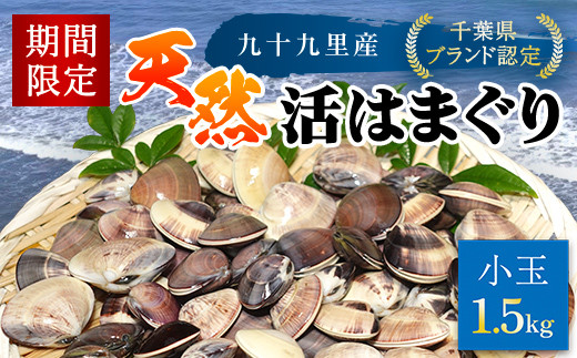 先行受付/2026年5月より配送＞【千葉県ブランド認定】天然活はまぐり