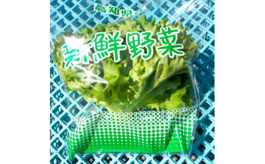 ymLz͔|Ԓ_sgpl̂ǐ^񒆂ō͔|ꂽN[t^X@100g×8܃Zbgy1493186z