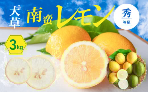 【熊本県天草市】S131-003_天草南蛮レモン 等級「秀」3kg