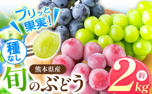 巨峰 約 1kg（2～3房） ｜ フルーツ 果物 ぶどう 葡萄 新鮮 農家直送 熊本 玉名 くまもと たまな - 熊本県玉名市｜ふるさとチョイス -  ふるさと納税サイト