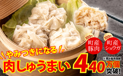 Amazon | [冷凍] 味の素 ザ☆シュウマイ 279g | スマイル