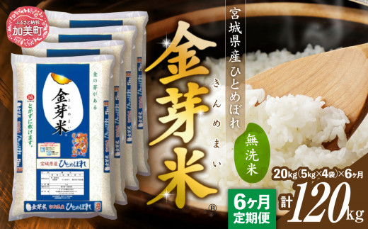 備蓄王 米20kg 5キロ4箱 富め 無洗米 長期保存米 備蓄 備蓄王 米20kg 5キロ4箱 富め 無洗米 長期保存米 備蓄