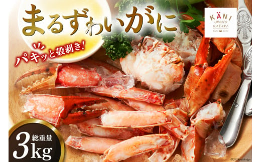 大人気！リピーター続出 まるずわいがに 肩脚肉 総重量3kg (9-15肩相当) [カネダイ 宮城県 気仙沼市 20563327] かに カニ かに物語  まるズワイガニ 丸ずわいがに マルズワイガニ 蟹 ずわい - 宮城県気仙沼市｜ふるさとチョイス - ふるさと納税サイト