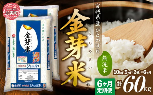 定期便 6回】米 令和5年度産 宮城県産 金芽米 ひとめぼれ 無洗米 計 60kg ( 10kg × 6回 ) お米 こめ コメ 精米 白米  きんめまい - 宮城県加美町｜ふるさとチョイス - ふるさと納税サイト