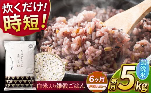 yF{RszyS6ցzsv G͂  5kg y _YxXgp[gi[z [ZBP147]