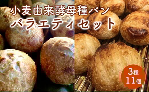 ymiszRypoGeBZbg 311[5229-0732]