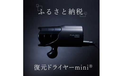 復元ドライヤー mini | ドライヤー サロン ヘアケア 家電 電化製品 どらいやー 髪 製品 日用品 本体 コンパクト 軽い 風呂 洗面台 適温  適湿 振動気化方式 長野県 松本市 ふるさと納税 - 長野県松本市｜ふるさとチョイス - ふるさと納税サイト