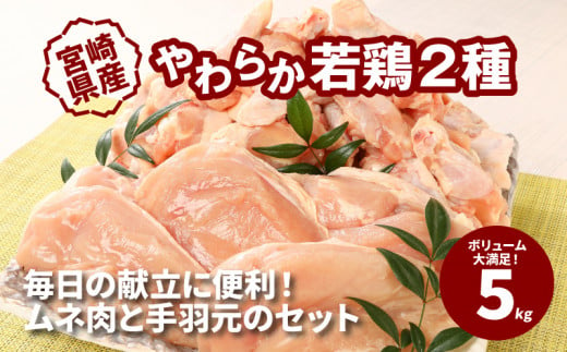 ふるさと納税 宮崎県 木城町 ＜宮崎県産若鶏切身 200g×10パック＞ K16_0075_1 食品 | clima-frost.pl