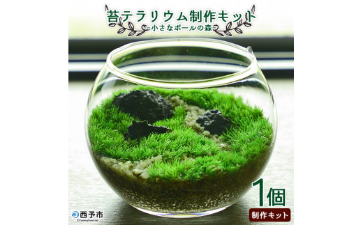 sd1_a29dd6c5c7be5cdf7587c0fc2b