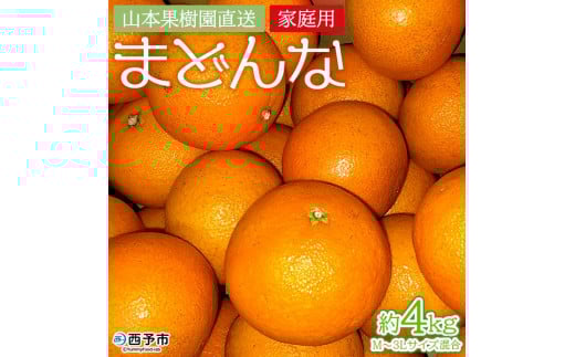 60愛果 まどんな 家庭用 10kg 887愛果 まどんな 家庭用 10kg (紅ま