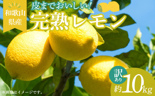 ya̎R󒬁zEA6025n_y󂠂Eƒpzn  10kg ܂Ŏgp\i͔|Ԓ_sgpj