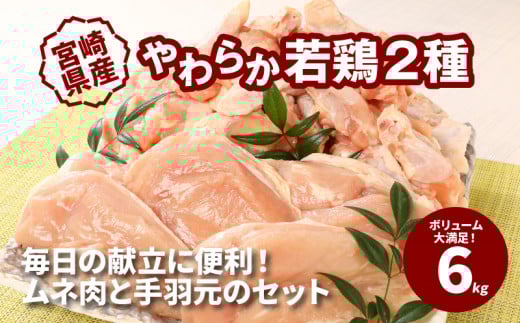 y{茧؏钬z{茧Y{ 炩{26kg  K16_0027_2
