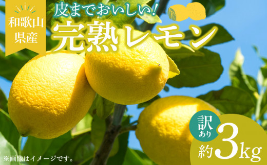 ya̎R󒬁zEA6022n_y󂠂Eƒpzn  3kg ܂Ŏgp\i͔|Ԓ_sgpj