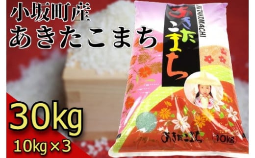 小坂の恵み あきたこまち30kg 【お米 白米 あきたこまち ギフト 秋田県 小坂町】 - 秋田県小坂町｜ふるさとチョイス - ふるさと納税サイト