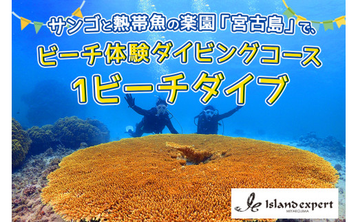 JK003 サンゴと熱帯魚の楽園「宮古島」で、ビーチ体験ダイビングコース（1ビーチダイブ） - 沖縄県宮古島市｜ふるさとチョイス - ふるさと納税サイト