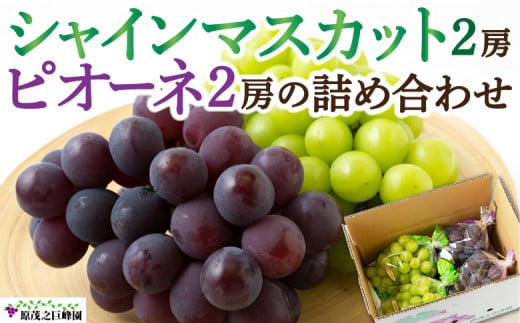 y͎szys\zΔV VC}XJbg 2[  sI[l 2[  lߍ킹 y2026N8{`9{菇\z  Ԃǂ uhE ʕ  t[