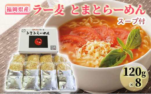 yqsz[ Y [ Ƃ܂Ƃ[߂ 1P[X 