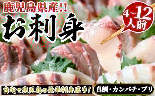 【鹿児島県阿久根市】<内容量が選べる!>厳選お刺身BOX(4〜12人前) 国産 お刺身 魚貝 魚介 鯛 カンパチ ブリ 海産物 刺身 おつまみ セット 【さるがく水産】