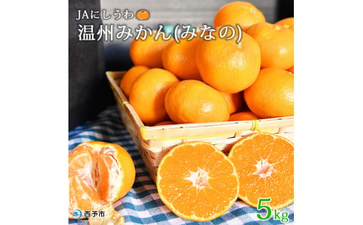 JAにしうわ 温州みかん「みなの」５kg - 愛媛県西予市｜ふるさとチョイス - ふるさと納税サイト