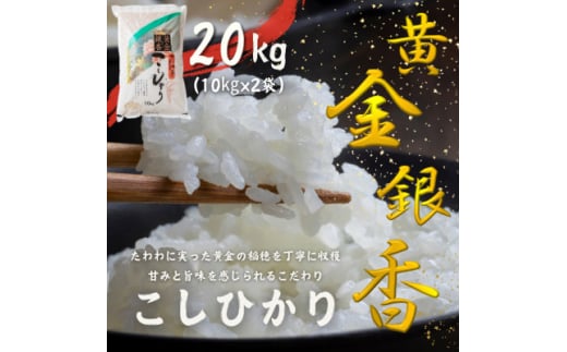 黄金銀香～〈福島県産〉コシヒカリ20kg(10kg×2)(精米)甘みと旨味が感じられるこだわりの米【1523704】 - 福島県矢吹町｜ふるさとチョイス  - ふるさと納税サイト