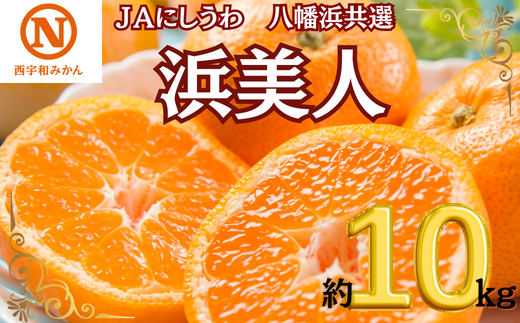 JAにしうわの季節の柑橘(八幡浜共選「浜美人」約10kg)＜G08-43