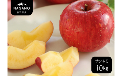 MS16-25A りんご サンふじ（長野県産秀品） 約10kg / 2025年11月下旬