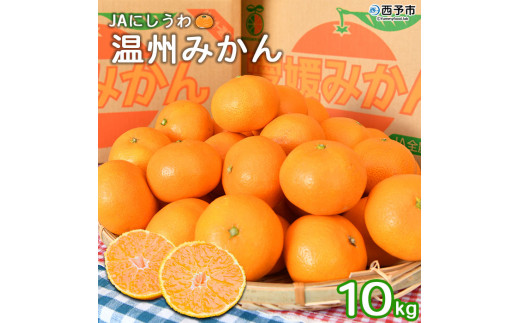 JAにしうわ 温州みかん10kg - 愛媛県西予市｜ふるさとチョイス