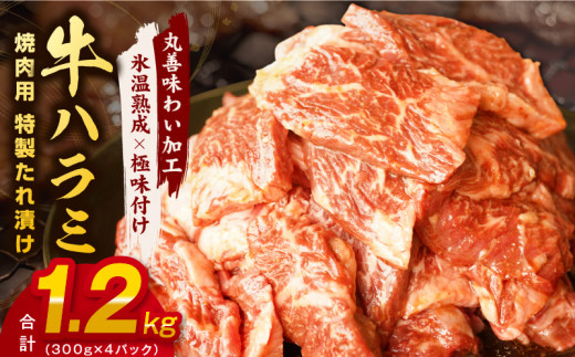 氷温熟成×特製ダレ】牛肉 ハラミ 1.2kg（300×4） 大阪府泉佐野市｜ふるさとチョイス ふるさと納税サイト