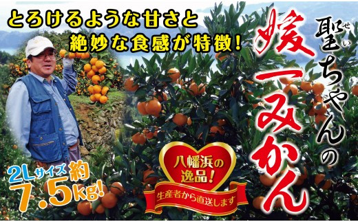 聖ちゃんの「媛一みかん」2Lサイズ 約7.5kg＜C39-14＞_ みかん ミカン 