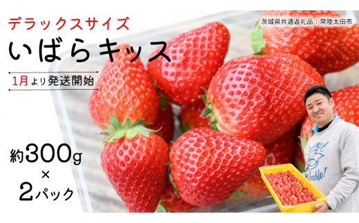 y錧vszy s\ z ΂LbX ( 2pbN )@ fbNXTCY y 2026N1甭Jn z ( 錧ʕԗi : 헤cs )  300g × 2 pbN ΂LbX ΂炫