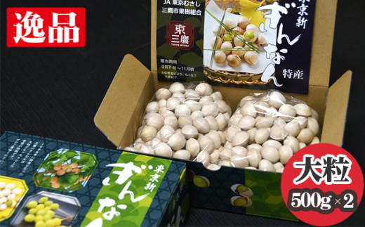 ysOszy2026NHzVȂi嗱j ^  Mi i s Yi [No.206]