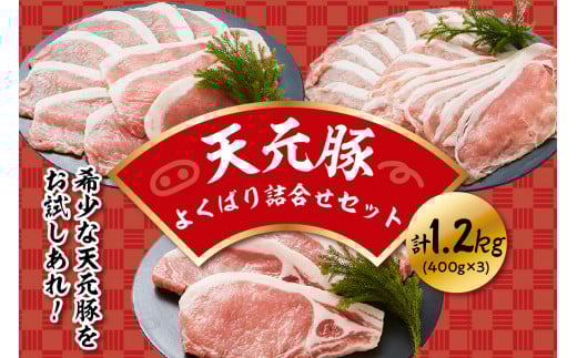 【山形県米沢市】天元豚 よくばり詰合せセット 計1.2kg しゃぶしゃぶ 焼肉 とんかつ 豚肉 しゃぶしゃぶ 焼肉 とんかつ 食べ比べ 詰め合わせ 便利 小分け ブランド豚 安全 ヘルシー ポーク 低