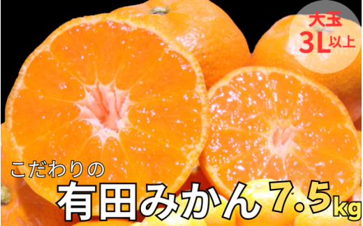 【和歌山県紀美野町】有田みかん 約7.5kg  大玉3L以上 有機質肥料100% ※2025年12月初旬〜1月中旬に順次発送(お届け日指定不可)/ミカン 蜜柑 柑橘 フルーツ くだもの 果物 早生 温州 有田 【nu