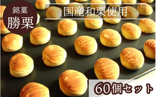 【京都府亀岡市】京都の縁起菓子「勝栗」60個セット | スイーツ 和菓子 焼菓子 必勝祈願 白あん 和栗 ギフト 贈答 お中元 お歳暮 父の日 母の日 敬老の日 プレゼント