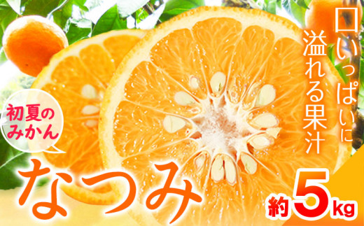 ya̎Rzs\񁄏Ă݂̂ Ȃݖ5kg  ߏXs2026N4{-4{oׁt a̎R  ݂ Ȃ ÊC k ʕ t[c 