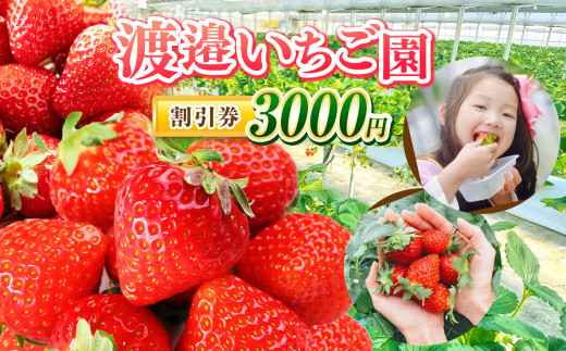 千葉県君津市 渡邉いちご園 】 割引券 3000円 | いちご狩り いちご