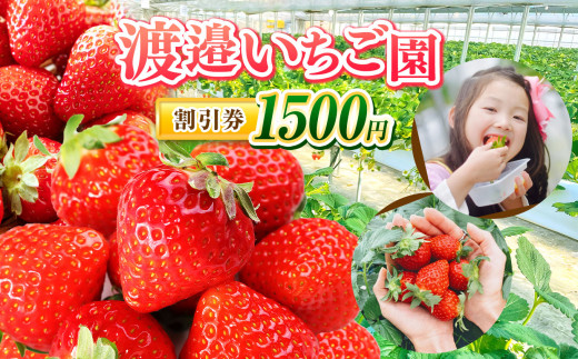 千葉県君津市 渡邉いちご園 】 割引券 1500円 | いちご狩り いちご