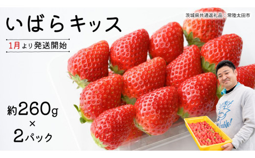 先行予約 】 茨城県品種 いばら キッス ( 2パック × 1箱 )【 2026年1月