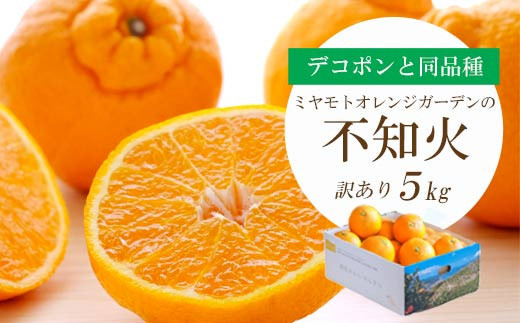 yQlsz2026N2ȍ~fR|Ɠi Zk sm5kg󂠂聄D25-139y1138007z