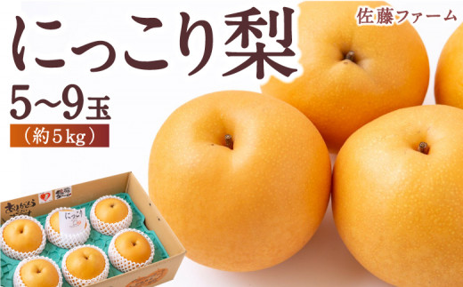 先行予約】 佐藤ファーム にっこり梨 5玉～9玉 （約5kg） 【2026年10月