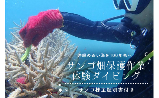 ダイビング体験チケット】サンゴ養殖プロジェクト 保護作業ダイビング 